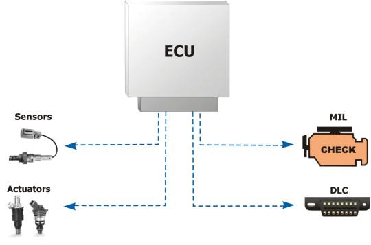 OBD1.jpg